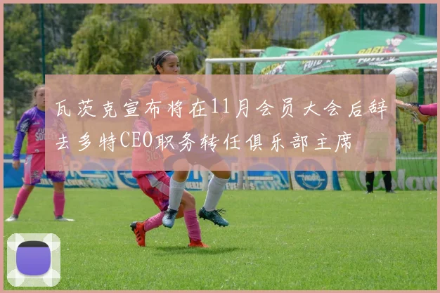 瓦茨克宣布将在11月会员大会后辞去多特CEO职务转任俱乐部主席