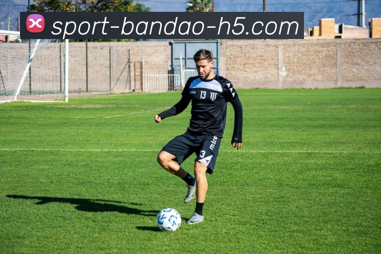 App Interface Preview