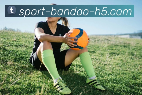 半岛体育APP 封面图